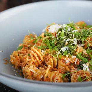 Radiatore Alla Buttera - Cured Pork Sugo, Broccolini, Tomato, Ricotta Salata, Basil Pesto