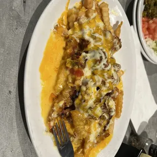 Fat Pat fries w/ BBQ pulled pork
