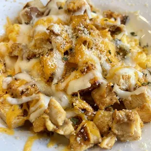  close up of a plate of food