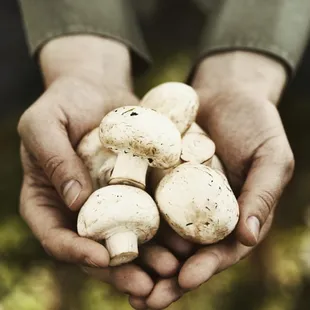Ingredient driven menus