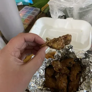Wings smaller that my thumb