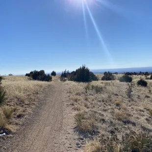 Sandia Foothills trail
