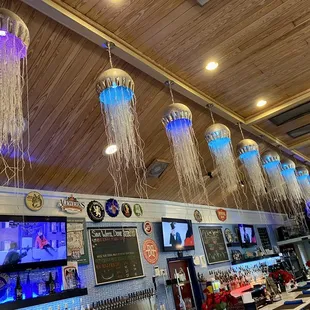 jellyfishs hanging from the ceiling