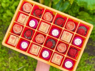 Laumiere Gourmet Fruits