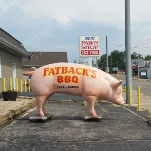 Just look for the giant pig