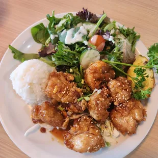 Mini Garlic Chicken Plate