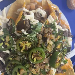 Supreme Asada nachos