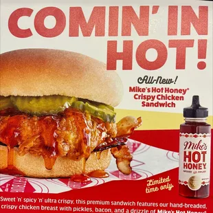 a picture of a chicken sandwich