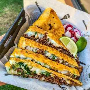 a hand holding a plate of tacos