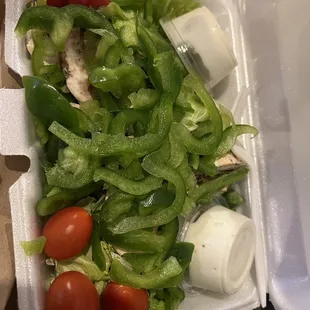 Dinner Salad (no meat)