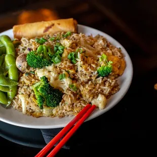 Kids Chicken Fried Rice Plate