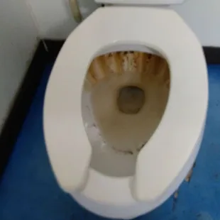 Ive seen swamps in new orleans cleaner than this