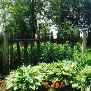 a garden with a fence and flowers