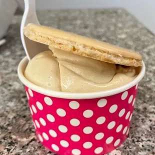 Coffee ice cream, single scoop with vanilla macaroon