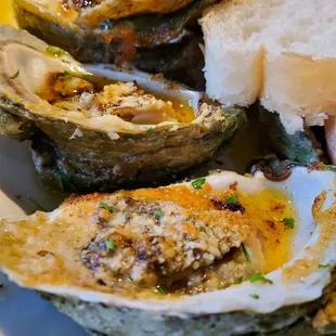 Chargrilled oysters
