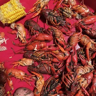 muddy & dead crawfish.