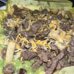 Carne Asada Fries