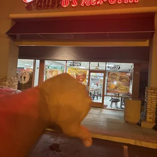 I wish you could&apos;ve seen the video but yelp wont let me upload it