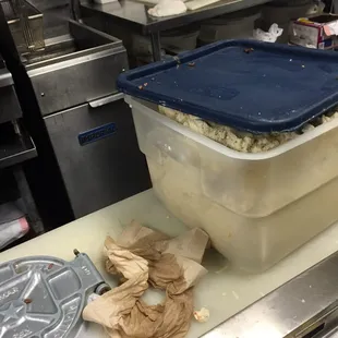 Masa for fresh tortillas