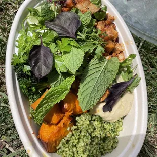 Grilled Chicken Plate