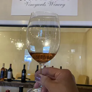 a hand holding a glass of wine