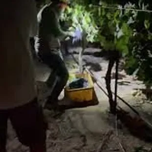 Live-action Harvest shot September 2021