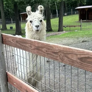 Bed hair, don't care!