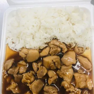 Teriyaki Chicken.White Rice