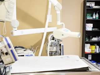 Village Animal Hospital