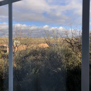 Views from the cabin room