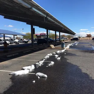 Snow the day before, weird but welcomed.