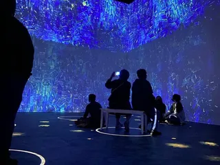 Immersive Van Gogh Exhibit Columbus