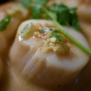 "Manoa School APT Bento" Close up Cape Cod scallops w/ savignon butter