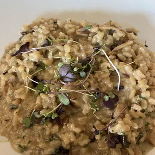 Mushroom Risotto