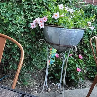 salads, outside