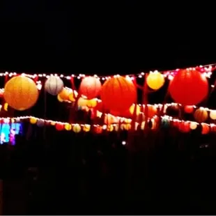 2012 Feast "lantern octopus"