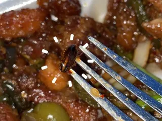 Mister Lu Chinese Restaurant