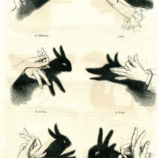 how to catch a rabbit
