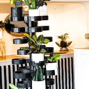 interior, sushi and sashimi