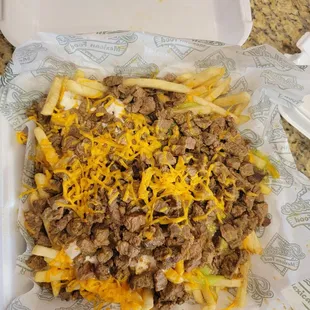 Carne asada fries