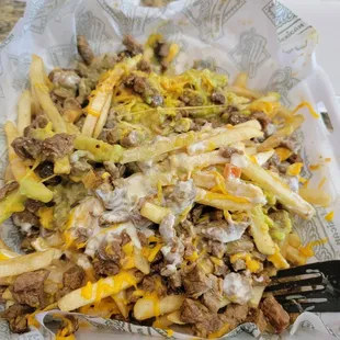 Carne asada fries