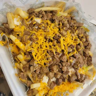 Carne asada fries