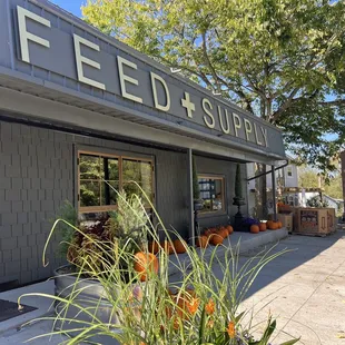 Outside with pumpkins &amp; flowers for sale.