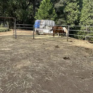 Look at the mess of shaft. I paid for that!