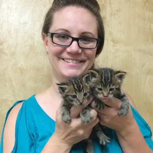 With A-PAL Humane Society, we adopt over 500 shelter kittens every year.