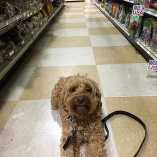 Look Mom, they're made in the USA. PS I'm Chloe and all of this is mine :)