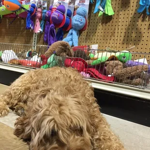 ...but I want all of them!