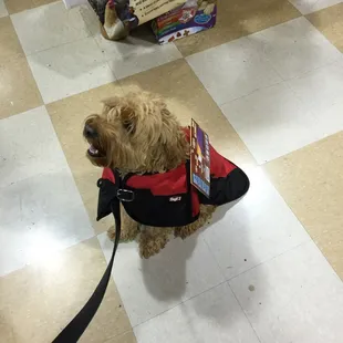 I love trying on clothes at the Feed Barn!  What do you think?