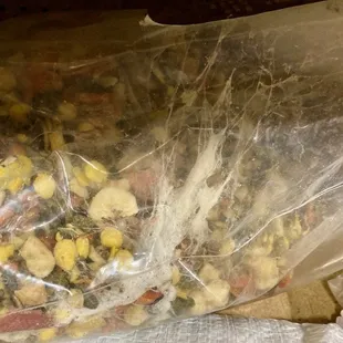 Open bag of bird food with bugs/webs