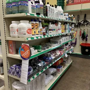 Horse grooming, first aid, wormer